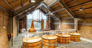 Take a look inside Ad Gefrin - Northumberland's new £16m tourist attraction