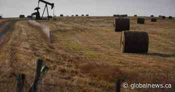 Alberta announces funding for economic growth in rural municipalities