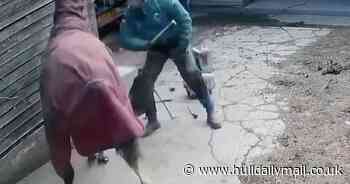 Farrier caught on camera beating horse 9 times with a hammer