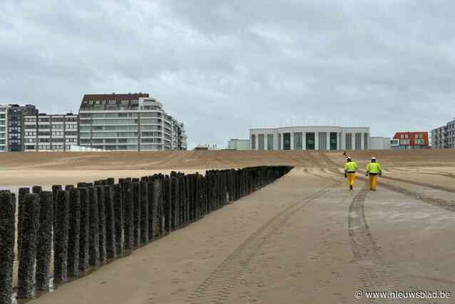 Idyllische paaltjes (en geliefde fotoplaats) op strand worden dan toch niet verwijderd: “Ze komen toch onder het zand te zitten”