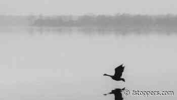 An Important Lesson for Every Photographer