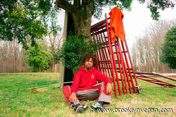 redveil shares new single "giftbag"; tour starts soon