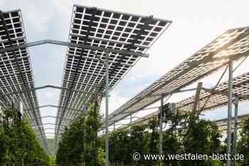 Investor darf loslegen