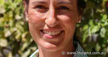 Beef producers kicking breeding decisions up a notch with genomics