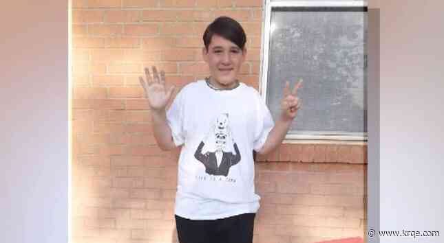 Portales woman takes plea deal for hitting, injuring 12-year-old boy and driving away