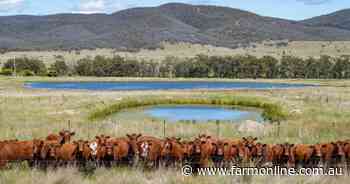 Cattle country offered with subdivision potential | Video
