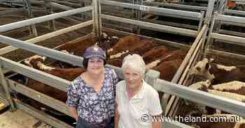 Rain renews NSW weaner market