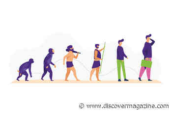 The 2 Million-Year-Old Human Family Tree