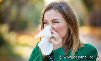 Study shows one in five of us have condition called misophonia provoking reaction to common noises