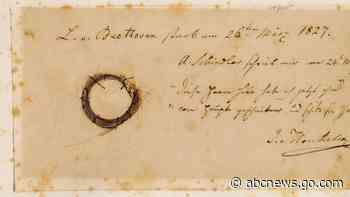 What made Beethoven sick? DNA from his hair offers clues