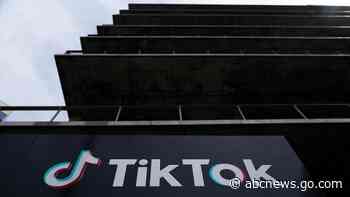 Dutch gov't staff discouraged from apps such as TikTok
