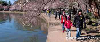 It’s the first day of spring: Here’s what that really means