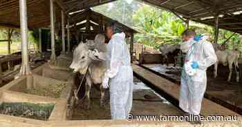 Cattle producers told to plan new markets as LSD threat looms
