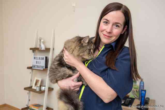 Nicky (33) ruilde haar job als postbode in voor die van kattentrimster: “Om een kat te verzorgen, heb je niet veel gereedschap nodig”