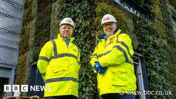 More than 50,000 'living plants' installed on side of car park