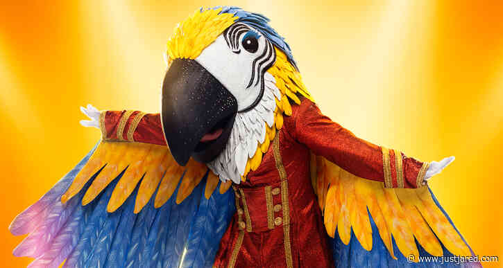 Who is Macaw on 'The Masked Singer' Season 9? Clues, Guesses, & Spoilers Revealed!