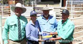 Stud highs for Blackrock sale