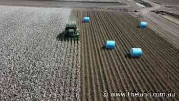 Top quality irrigation, farming, grazing property listed for $31 million