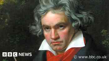 Beethoven: Tests on hair prove composer's genetic health woes