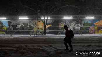 Happier than usual to get out of Ontario's winter gloom this year? This new data may shed light on why