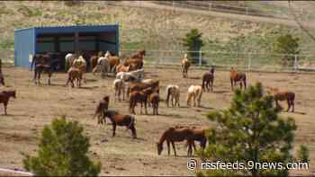 Westernaires receive land transfer from Jefferson County