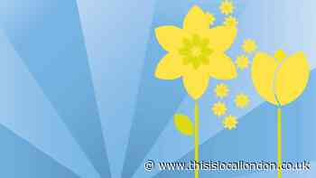 Marie Curie hosting Day of Reflection in Hampstead