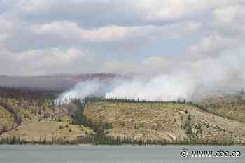 What you need to know about prevention before wildfire season ramps up