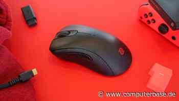 Zowie EC3-CW im Test: Teures Wireless-Debüt mit riesigem Receiver überzeugt