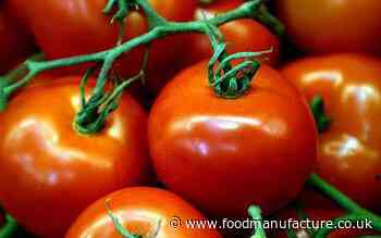 AI 'could have prevented vegetable shortages'