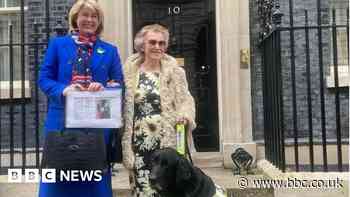 Guide dog campaigner urges Rishi Sunak to sort out shortage