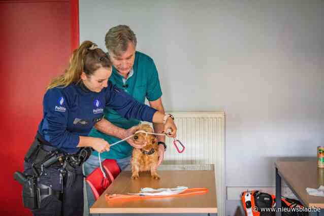 Politie krijgt lessen EHBO... voor dieren: “Meer dan 1.000 oproepen per jaar, maar wij zijn geen dierenarts”