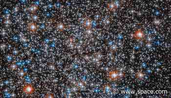 Stunning Hubble telescope photo reveals star-studded M55 cluster