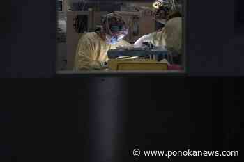 Surgery wait times for cancer, joint replacement patients still lagging amid backlog