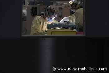 Surgery wait times for cancer, joint replacement patients still lagging amid backlog