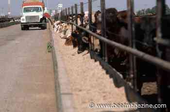 JBS posts nearly 64% decline in Q4