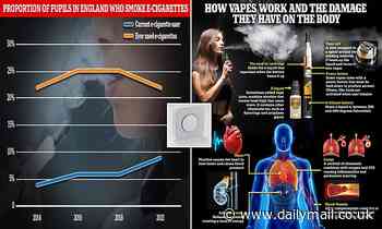 How purposely-installed vape detectors are being set off 22 TIMES a day in schools
