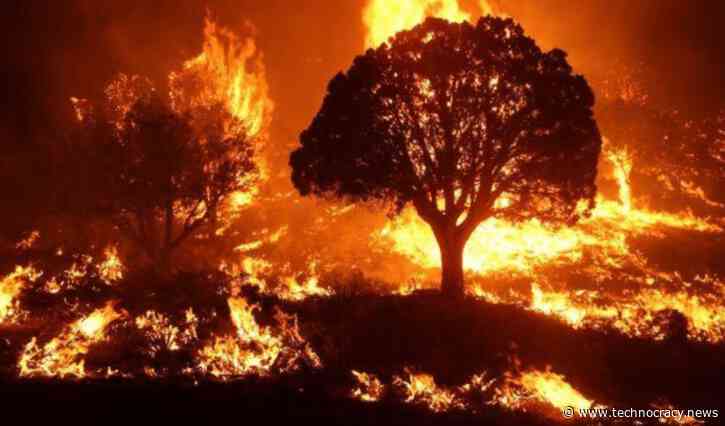 Globalists’ Polycrisis Of Doom Is Of Their Own Making