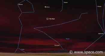 Look up! See Venus shine next to the young moon tonight