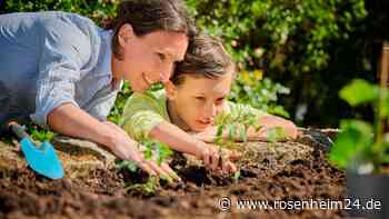 Hochbeete im Frühjahr bepflanzen: Welche Gemüsesorten dürfen jetzt schon in die Erde?