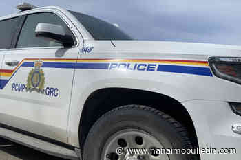 Dog stabbed to death in Shuswap