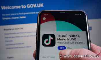 Everything you need to know about UK Parliament BANNING TikTok