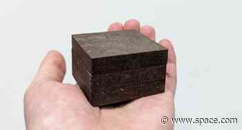 Potatoes are better than human blood for making space concrete bricks, scientists say