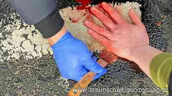 Klima-Kleber: Frankfurter Gericht klagt Braunschweiger an