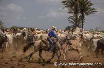 Meatpackers shares jump as China resumes Brazil beef imports