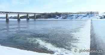 Entries open for Saskatoon pelican watch contest
