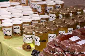 Des miels importés dans l'Union Européenne suspectés d'être "frelatés"