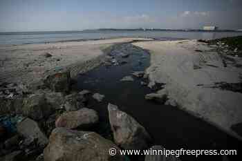 Many millions die without clean water or sanitation, UN says