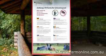 Pigs destroyed on-farm within days: ASF threat spelt out