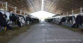 World-first dairy feedpads and housing guidelines released