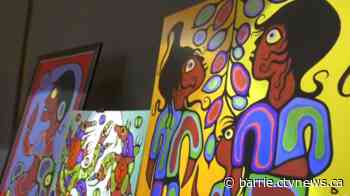 Simcoe County man charged in massive art fraud investigation appears in court